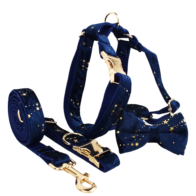 Ensemble pour chien Golden Star Elegance