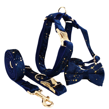 Ensemble pour chien Golden Star Elegance