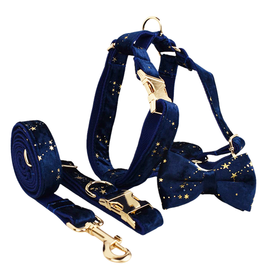 Golden Star Elegance Hundeset