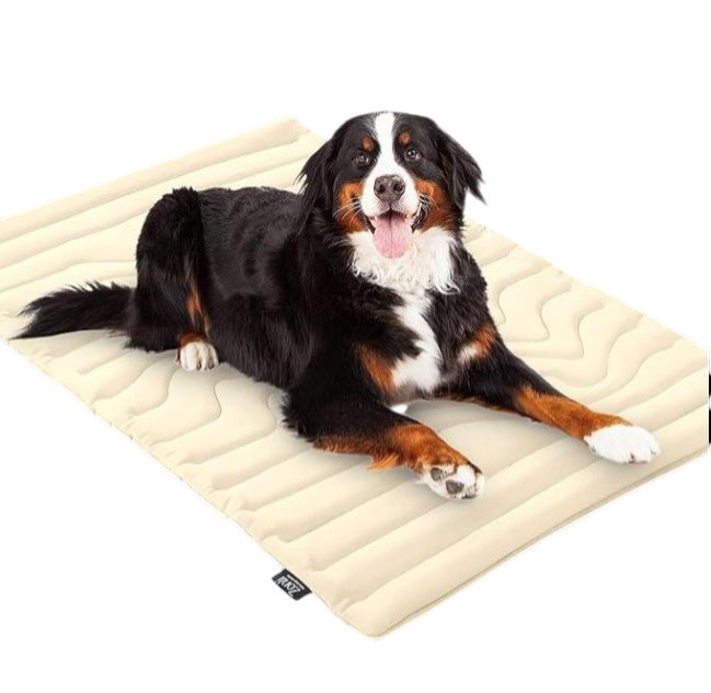 ❄️ Tapis Rafraîchissant CoolPaws – Fraîcheur pour les journées chaudes