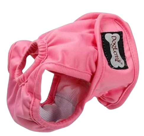 Culotte