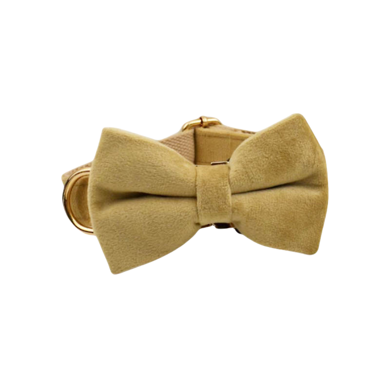 Velvet Edition: Edles Samtset für kreative Hunde-Outfits