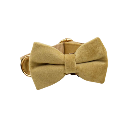 Velvet Edition: Edles Samtset für kreative Hunde-Outfits