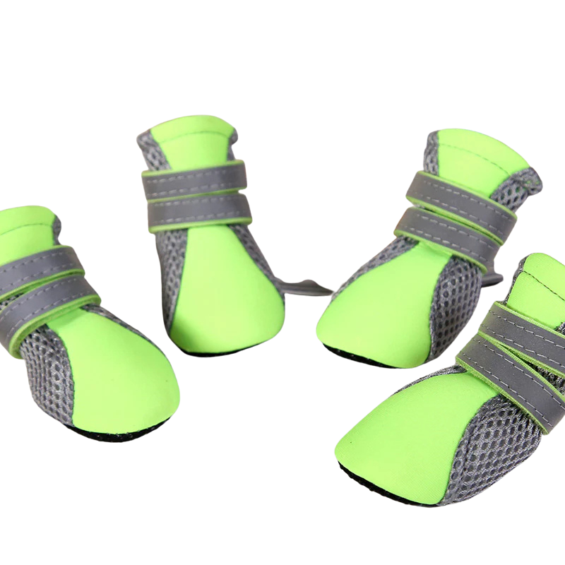 🐾 Outdoor Hundeschuhe – Sicher, bequem & stylisch unterwegs