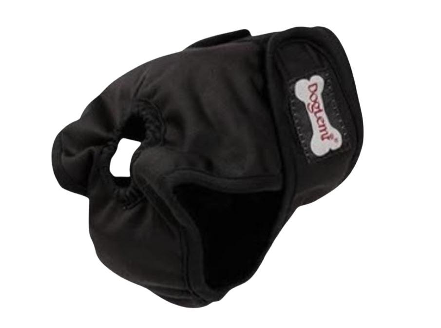 Culotte
