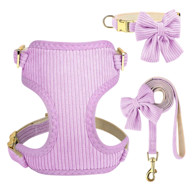 Chic & Sweet – Das stylische Geschirr-Set für deinen Liebling
