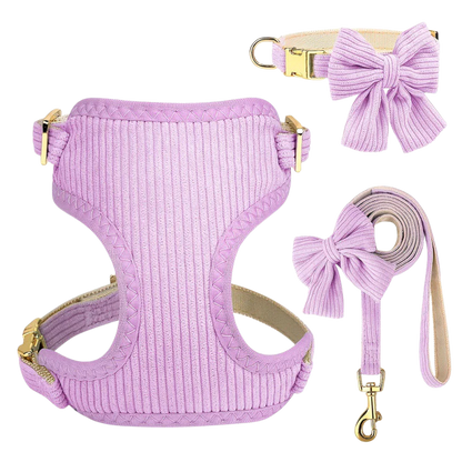 Chic & Sweet – Das stylische Geschirr-Set für deinen Liebling