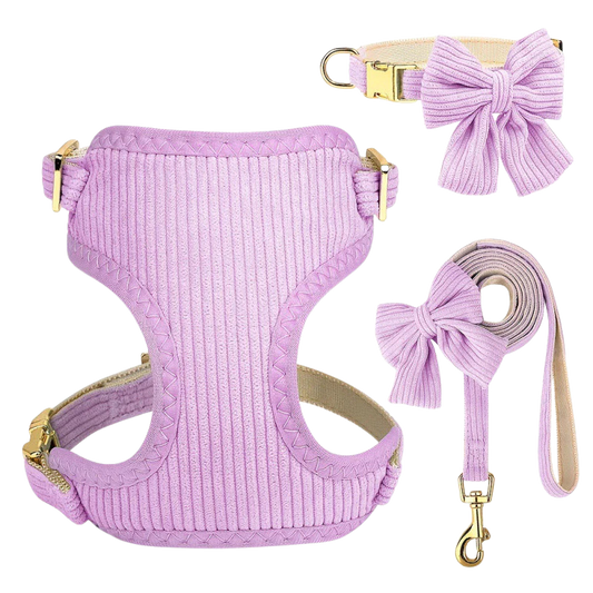 Chic & Sweet – Das stylische Geschirr-Set für deinen Liebling