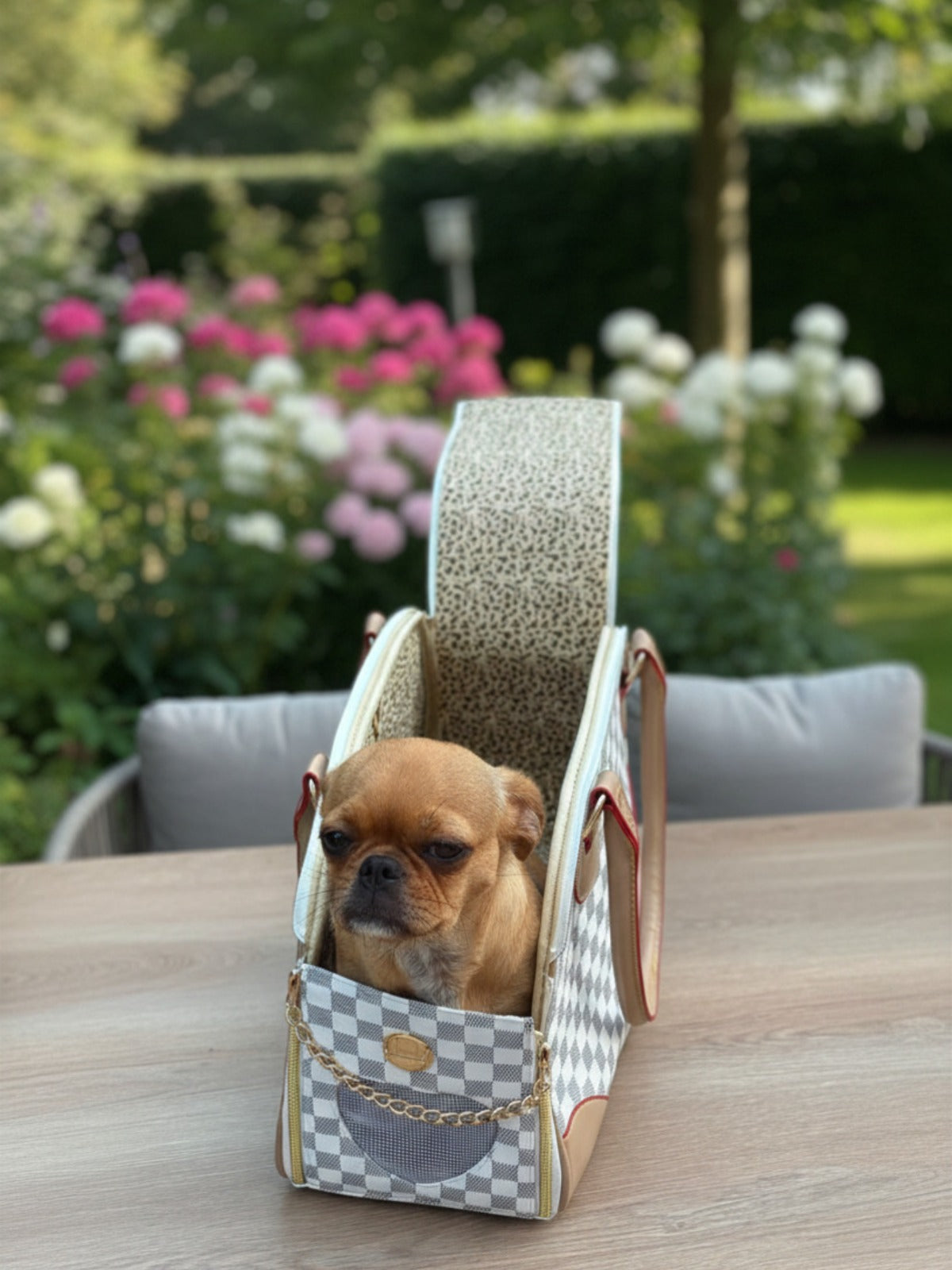 Hundetasche „City Chic“ – Stilvoll unterwegs mit deinem Liebling