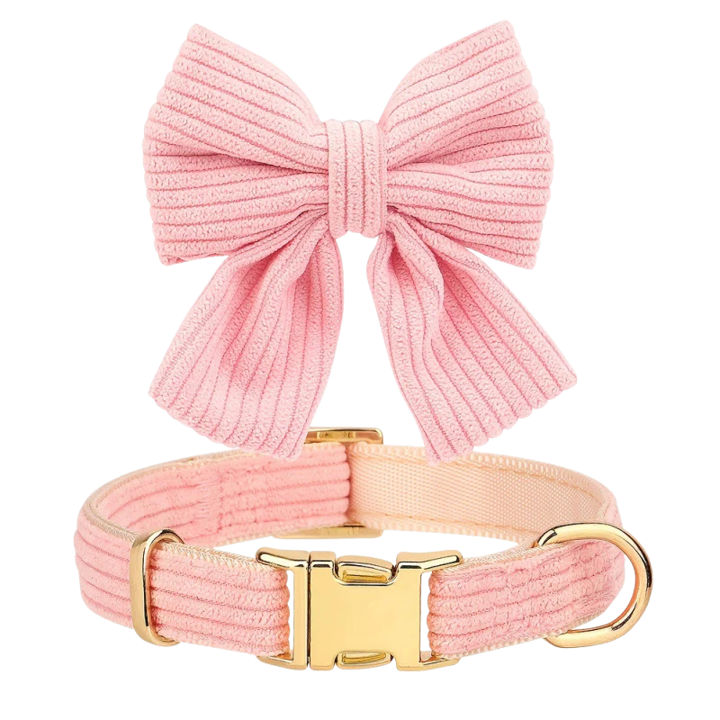 Chic & Sweet – Das stylische Geschirr-Set für deinen Liebling