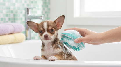 🛁 2-in-1 Fellpflege Bürste – Baden & Massieren