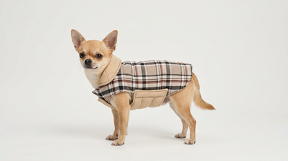 Kuscheliger karierter Hundemantel: Warm & stylisch