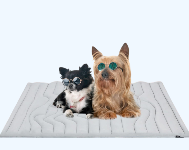 ❄️ Tapis Rafraîchissant CoolPaws – Fraîcheur pour les journées chaudes