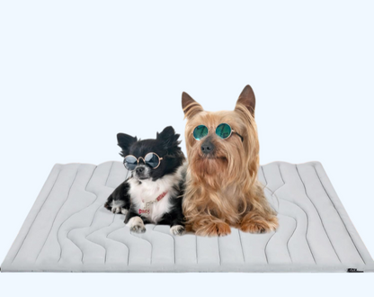 ❄️ Tapis Rafraîchissant CoolPaws – Fraîcheur pour les journées chaudes