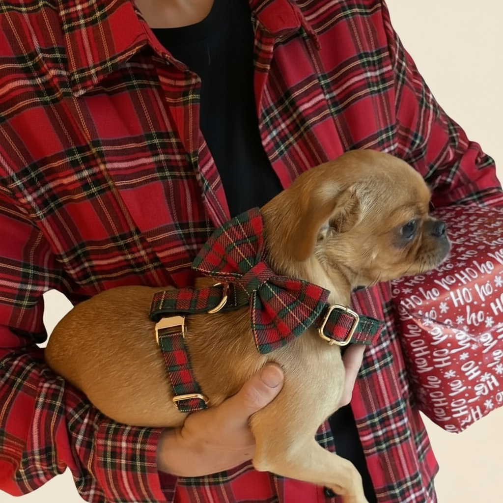 Holzfällerhemd Partnerlook – Passend zu Minibell Hundemode, modern & festlich